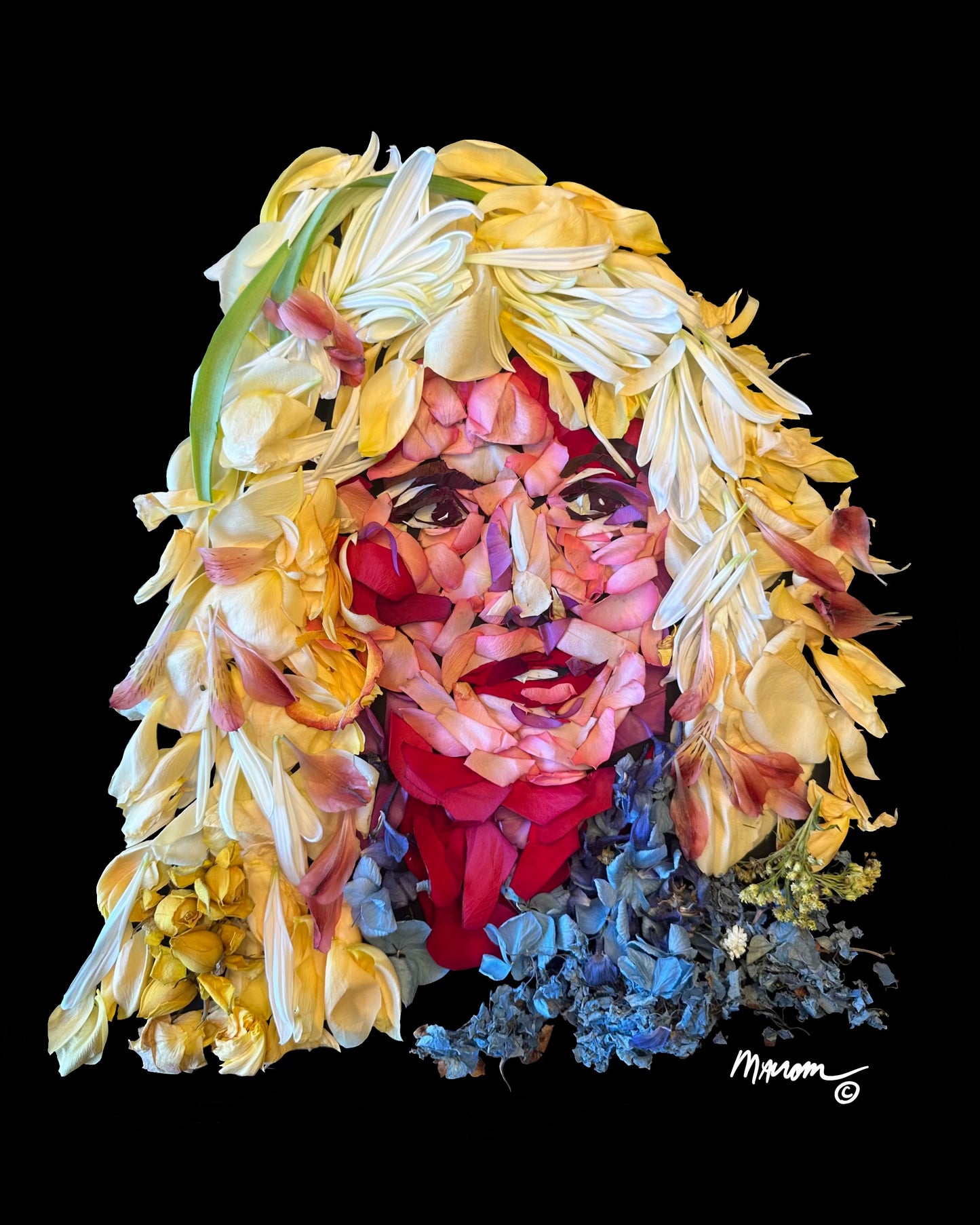Blondie