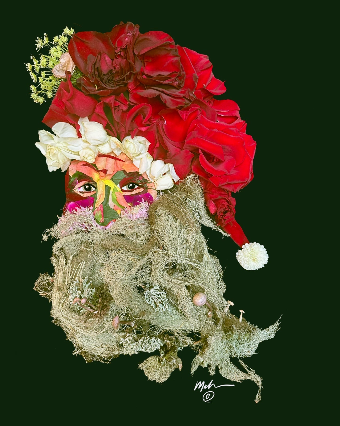 Wilderness Santa