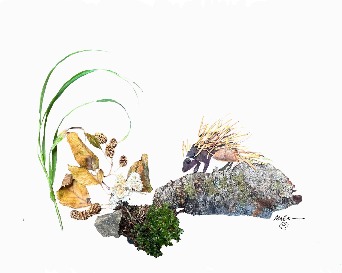 Porcupine