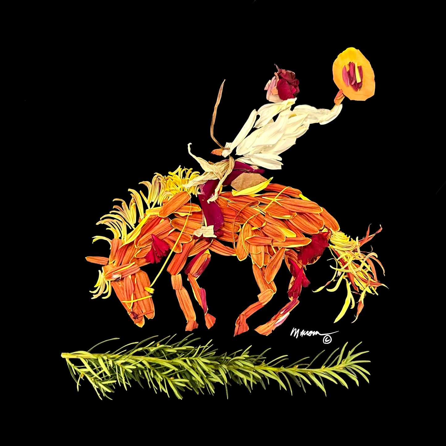 Saddle Bronc Rider
