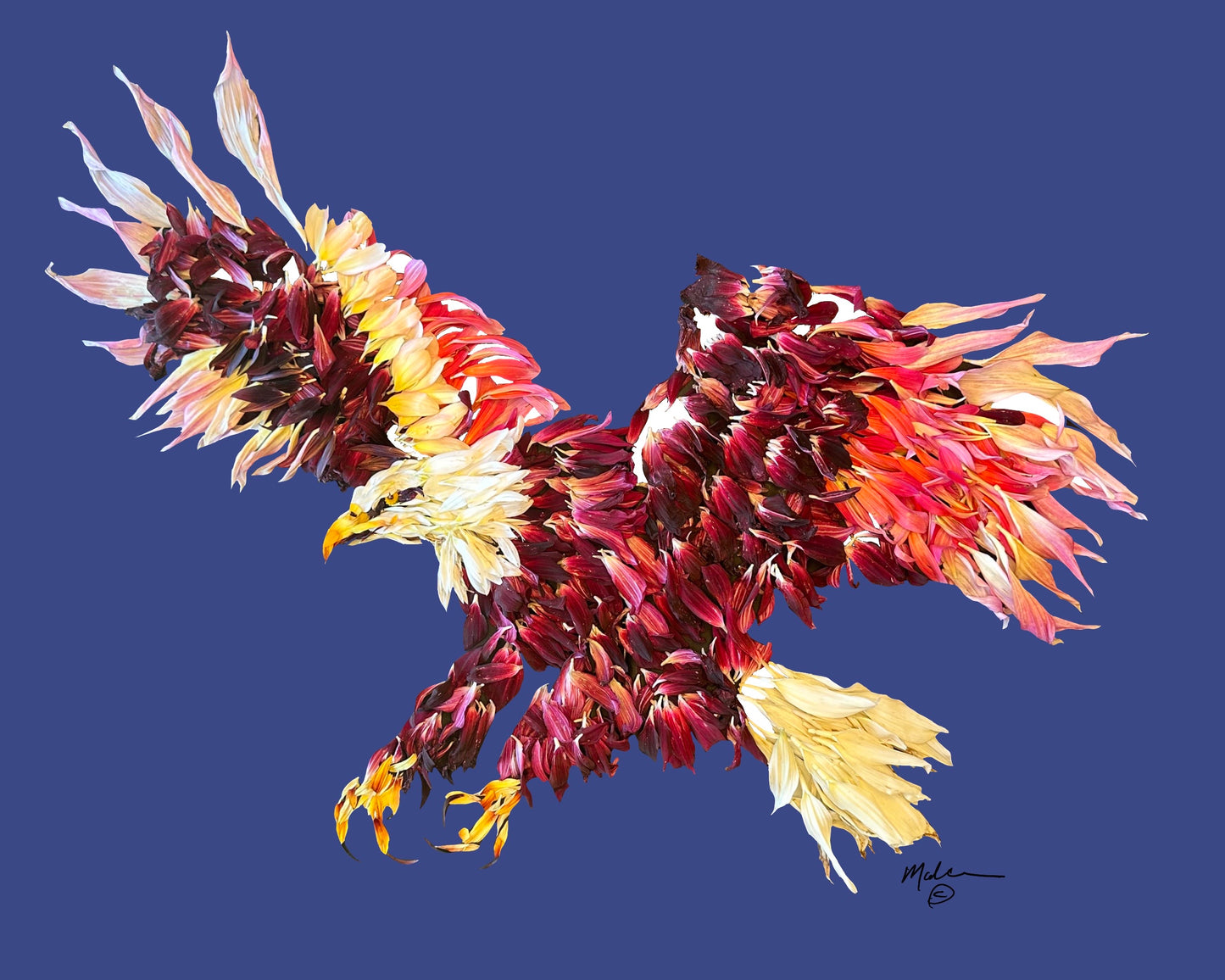 Flying Eagle