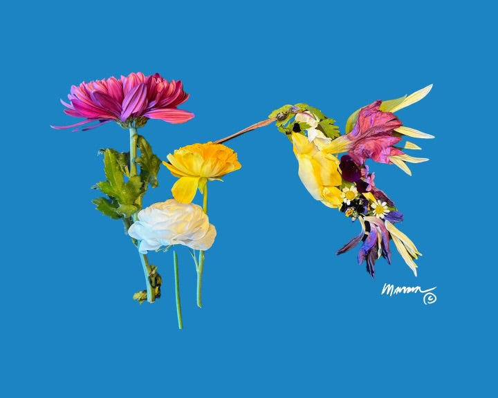 Hummingbird