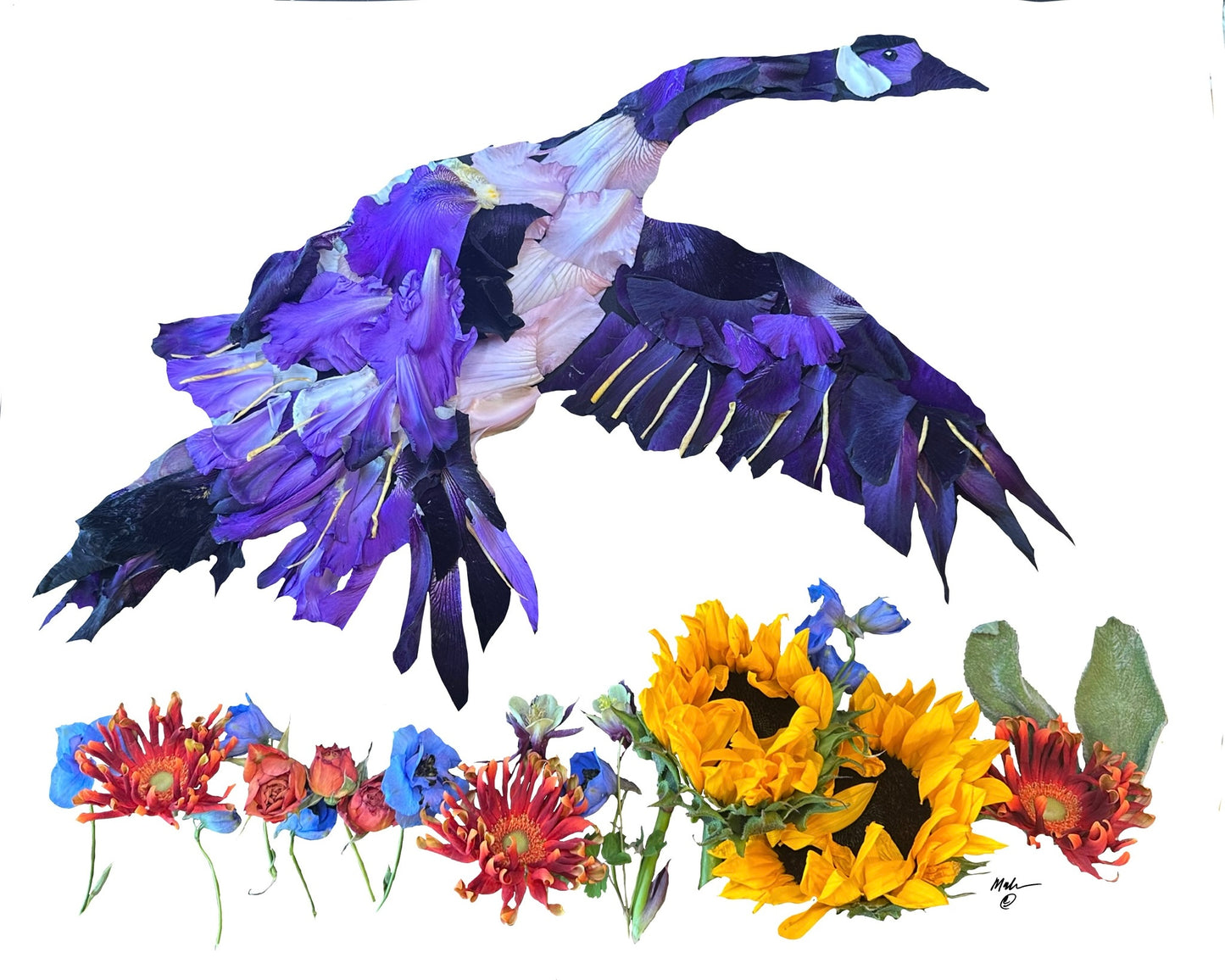 Wild Goose