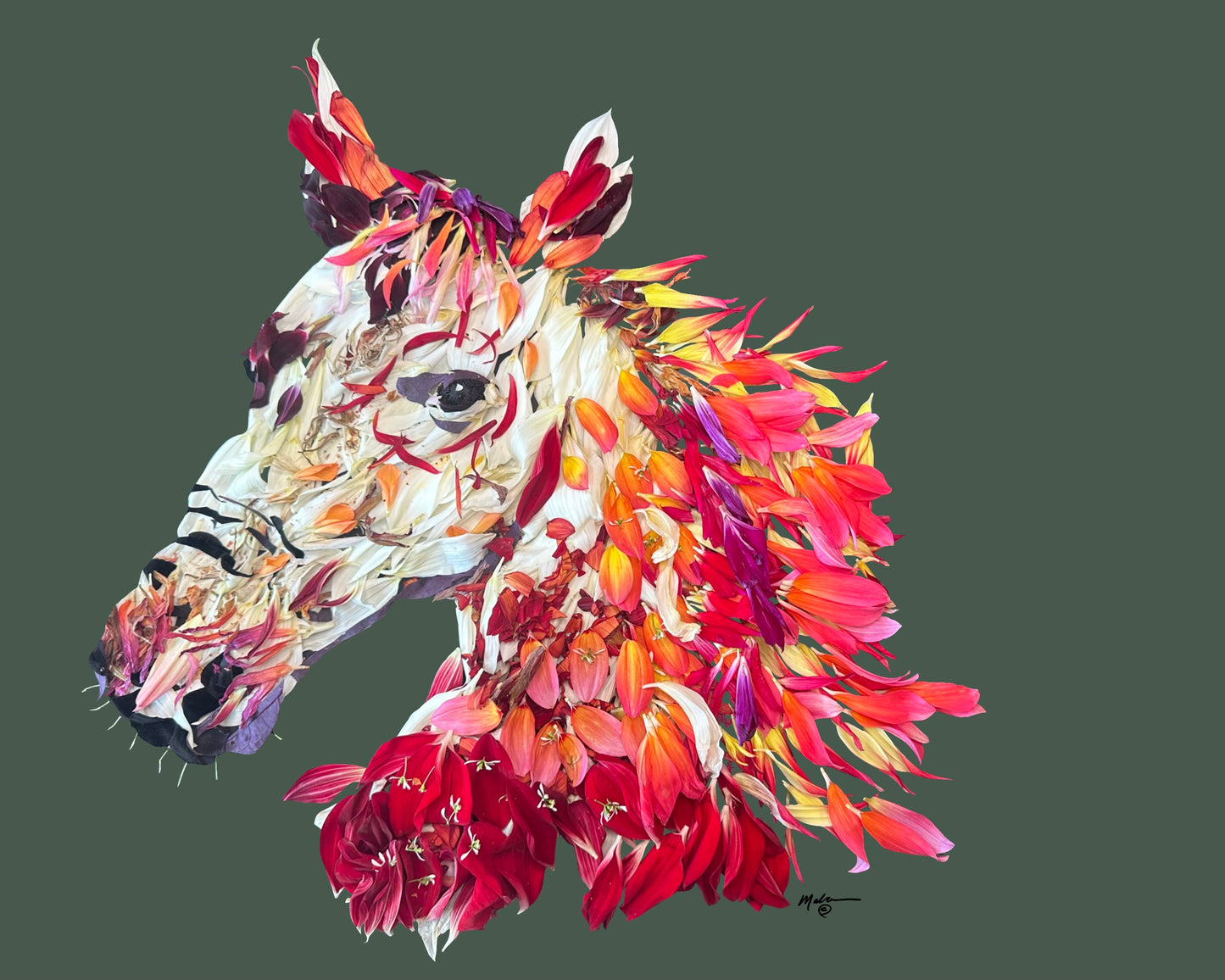 Painted Pony