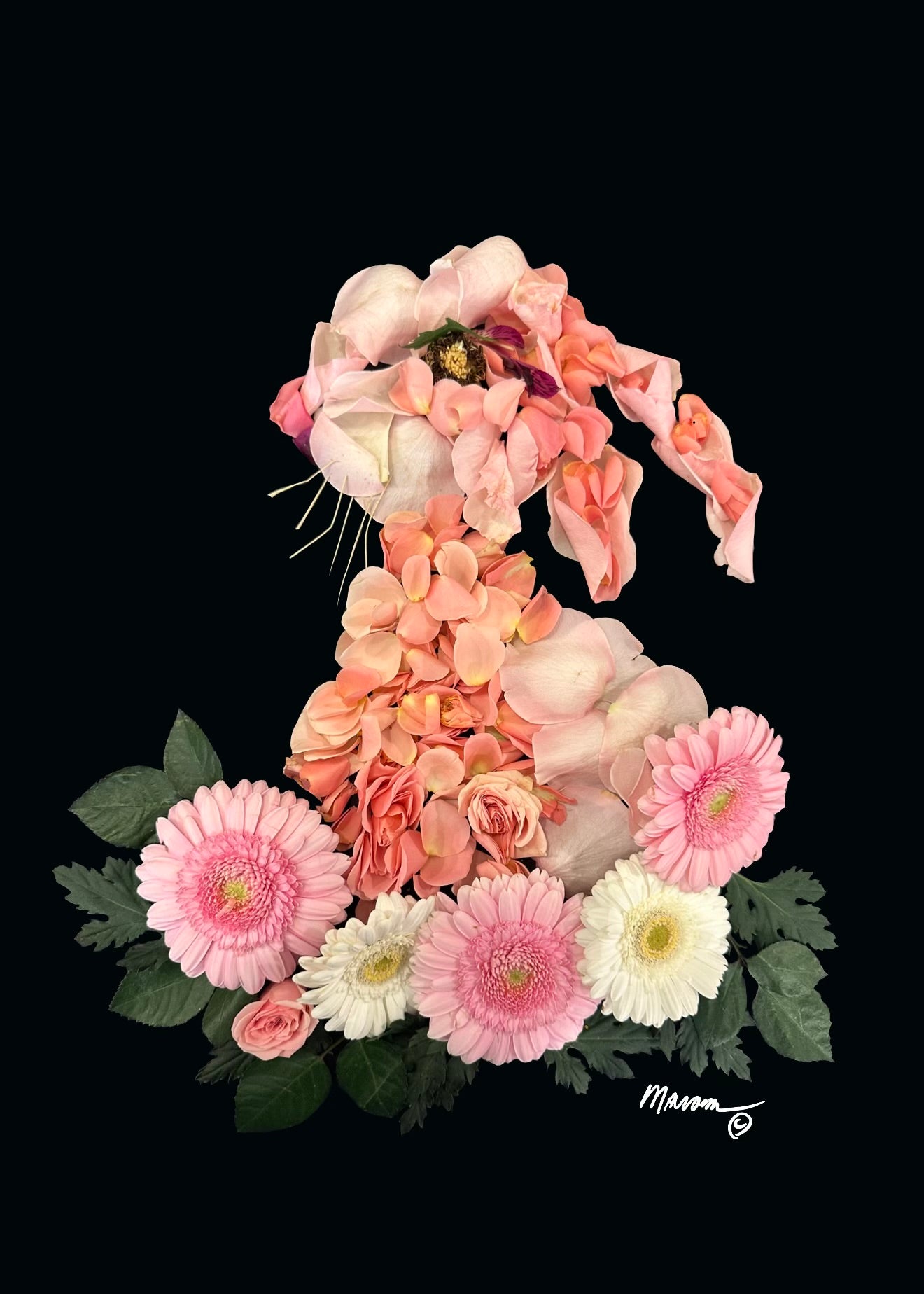 Pink Rabbit