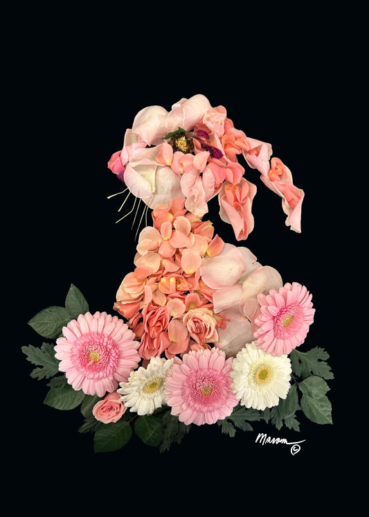 Pink Rabbit