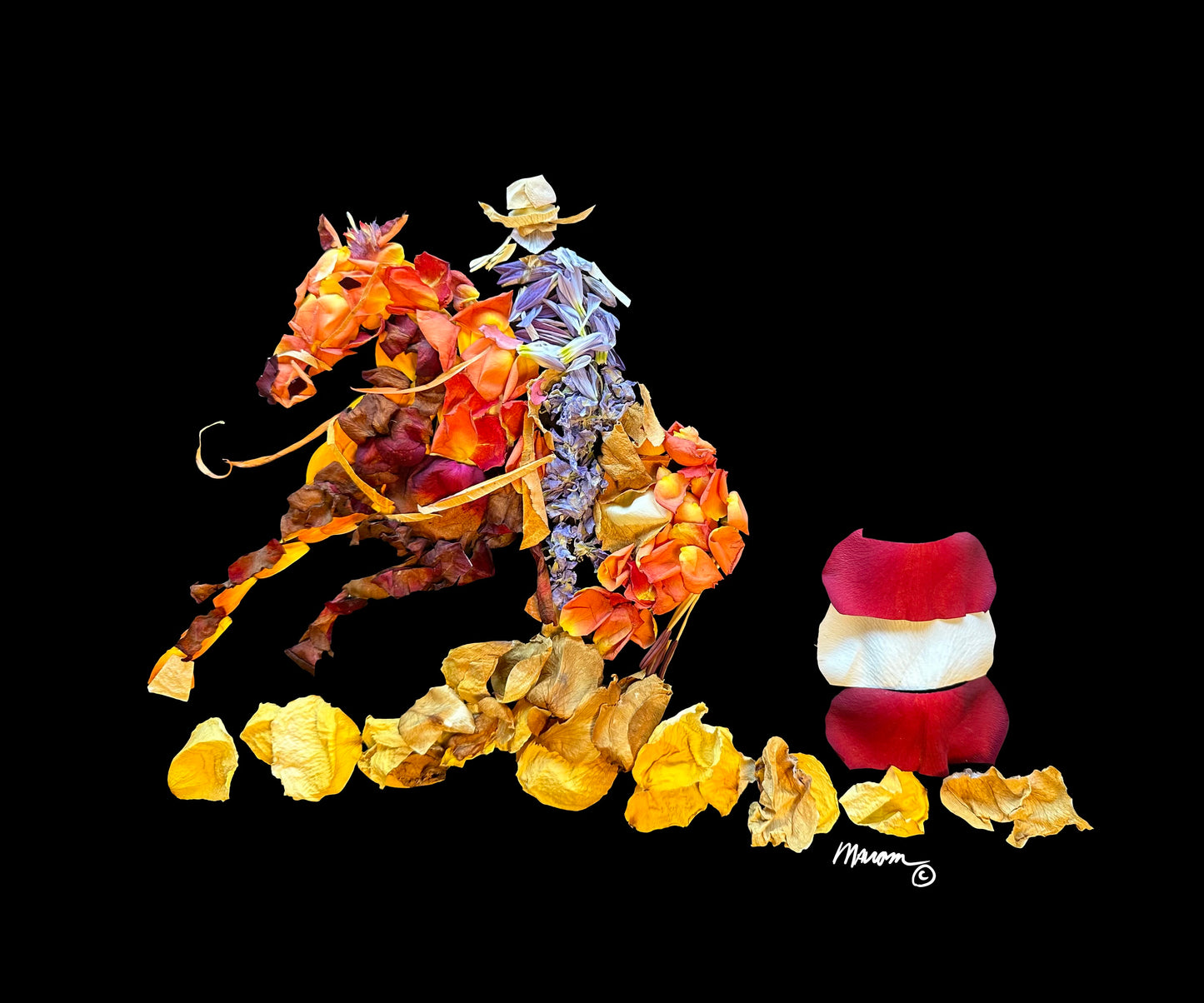 Barrel Racer