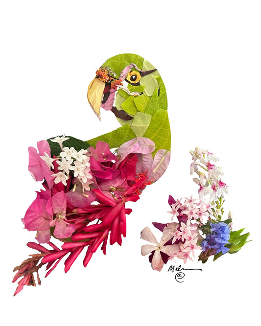Parrot