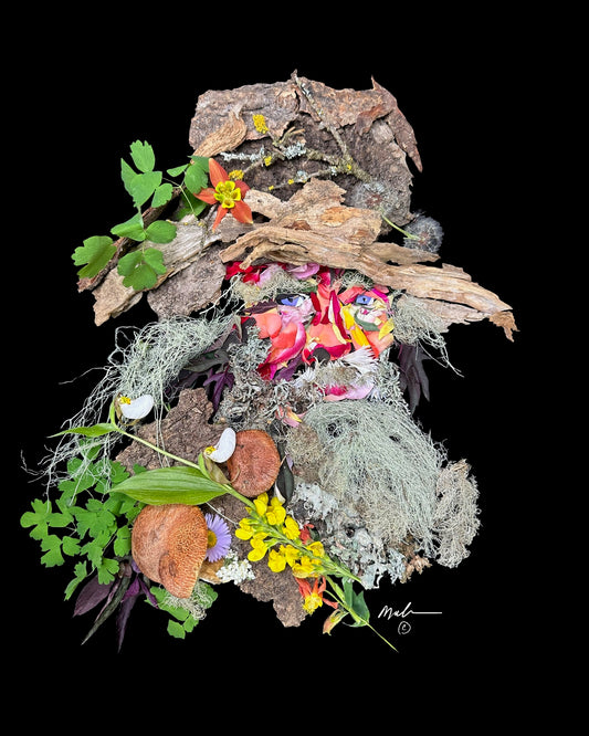 Wood and Wildflowers