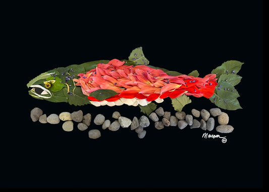 Sockeye Salmon