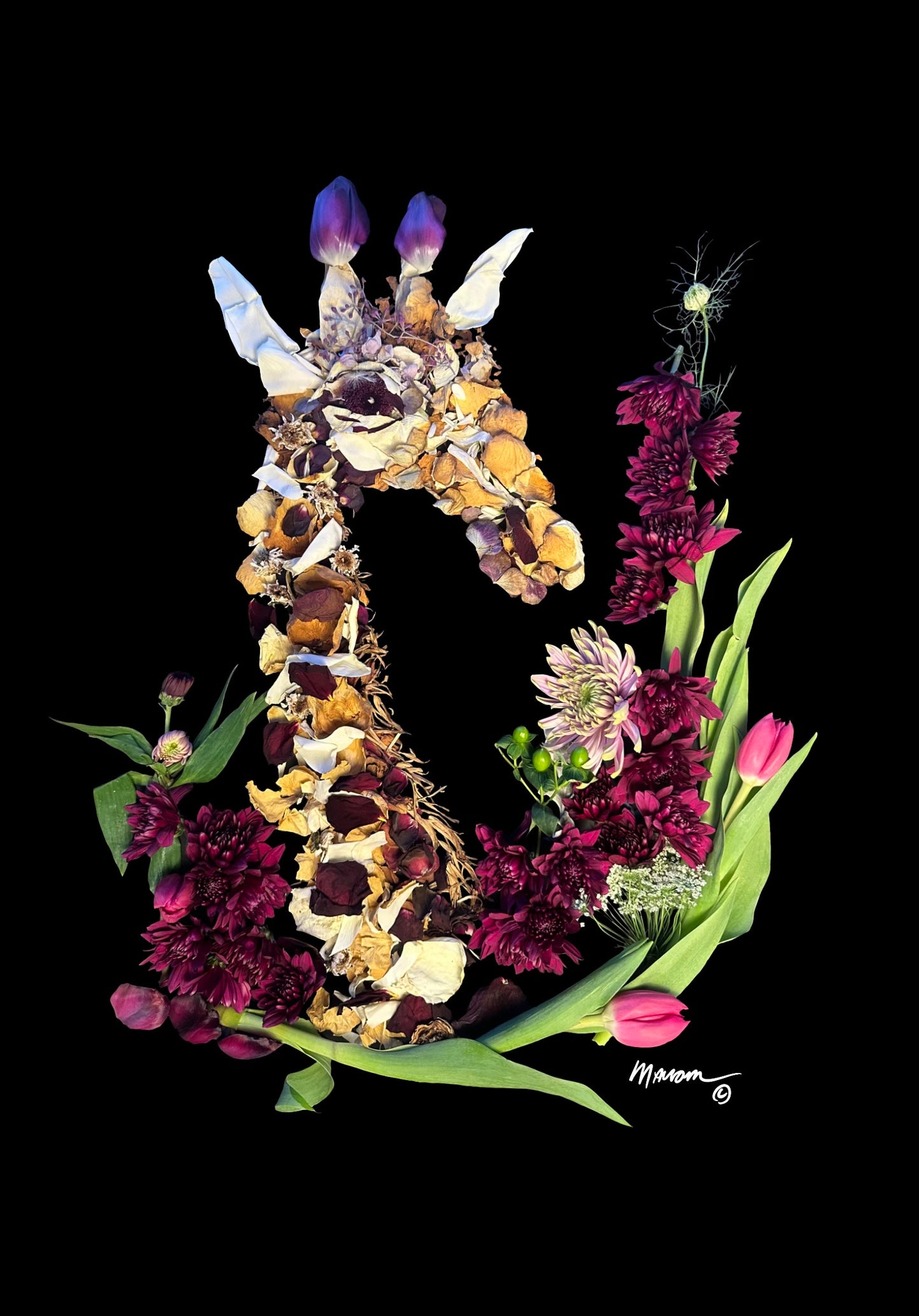 Giraffe