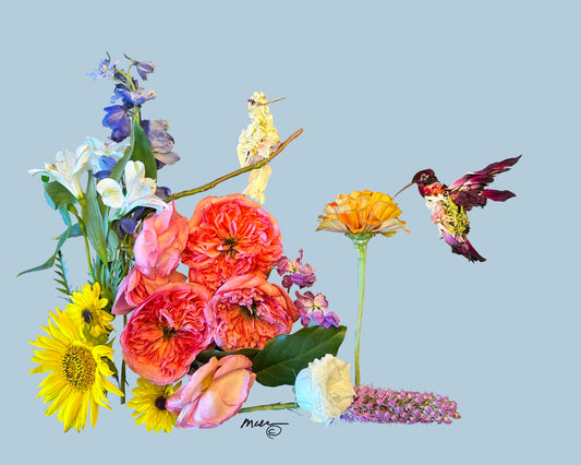 Pair of Hummingbirds