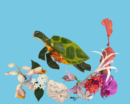 Sea Turtles