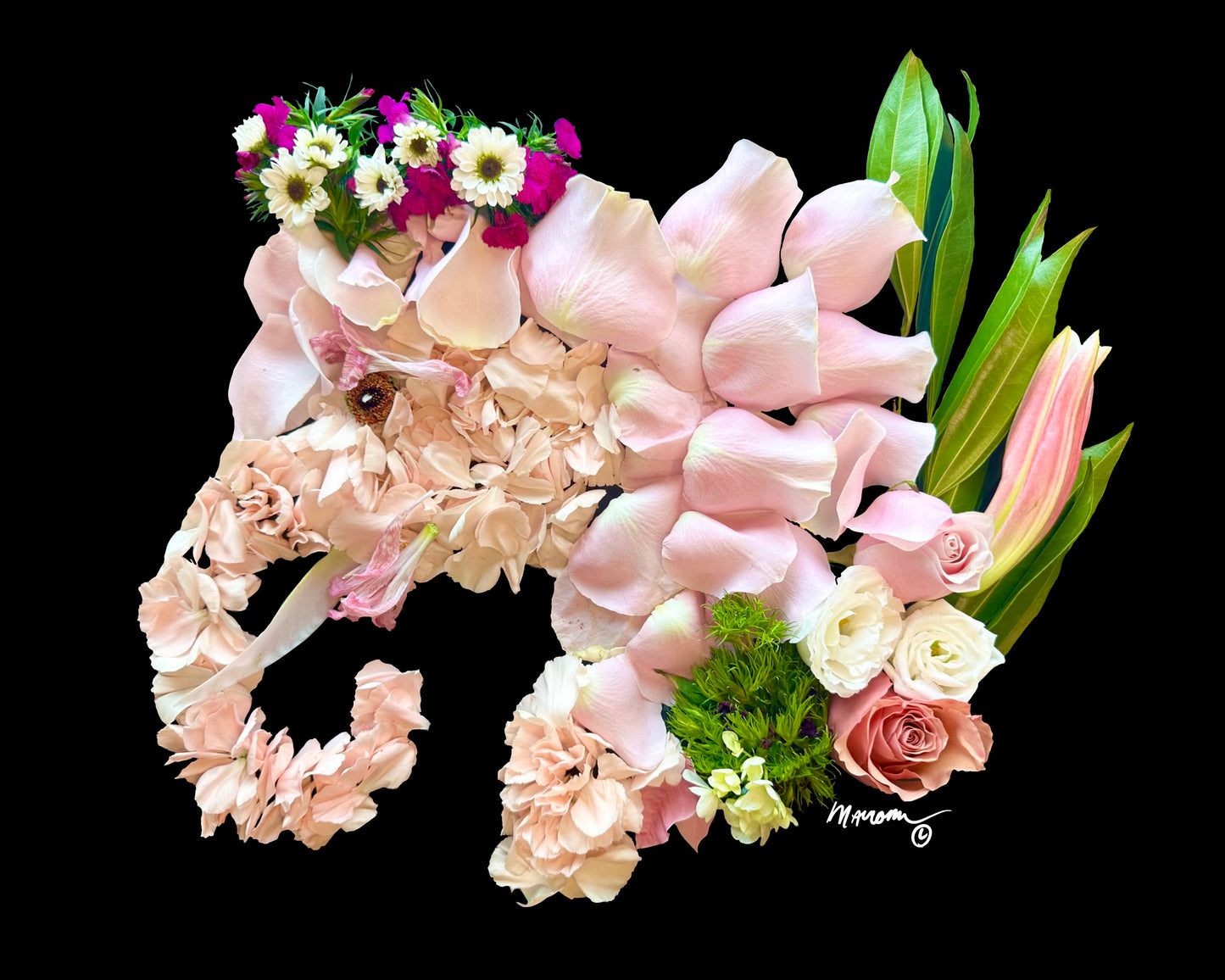 Pink Elephant