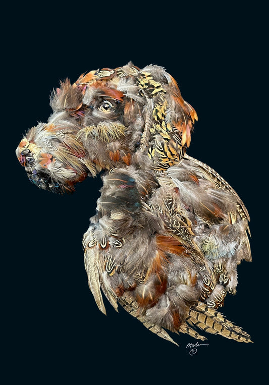 Bird Dog