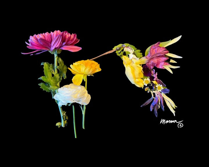 Hummingbird