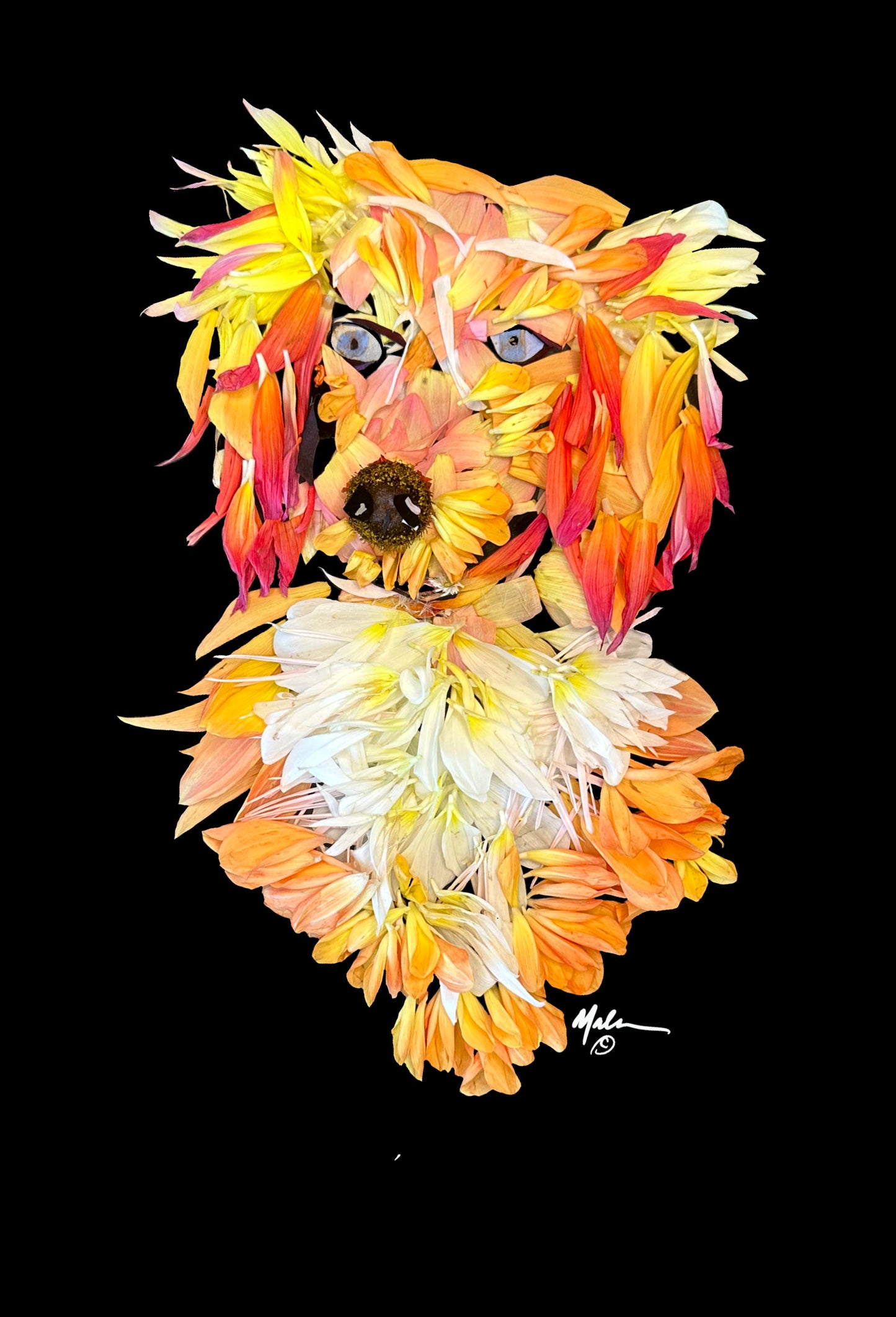 “Chief”
