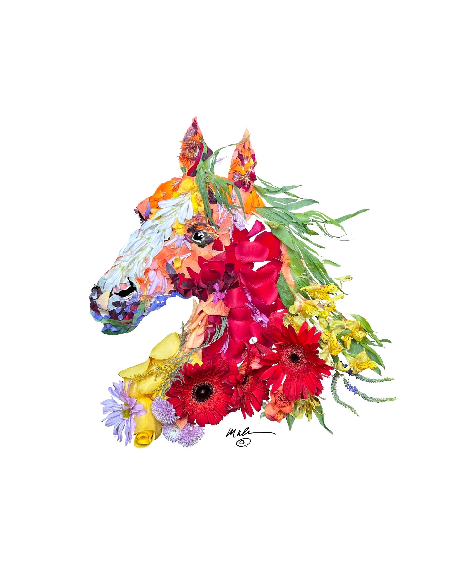 Spring Stallion