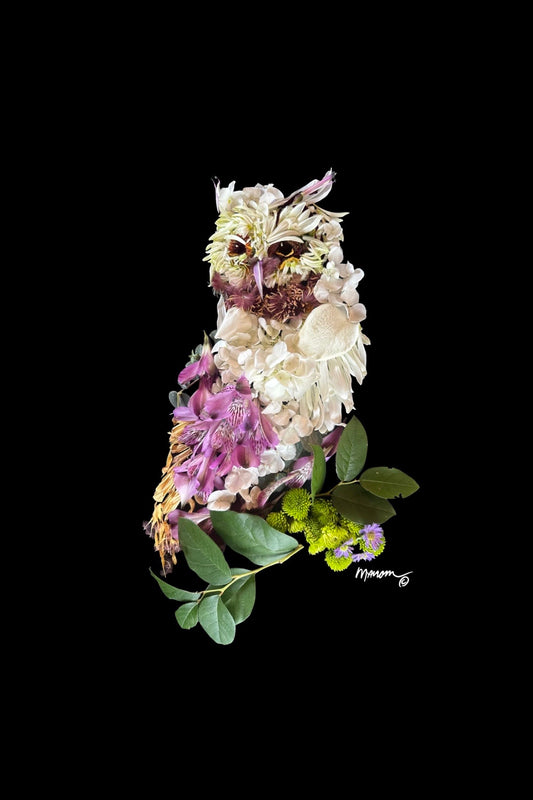 Purple Owl