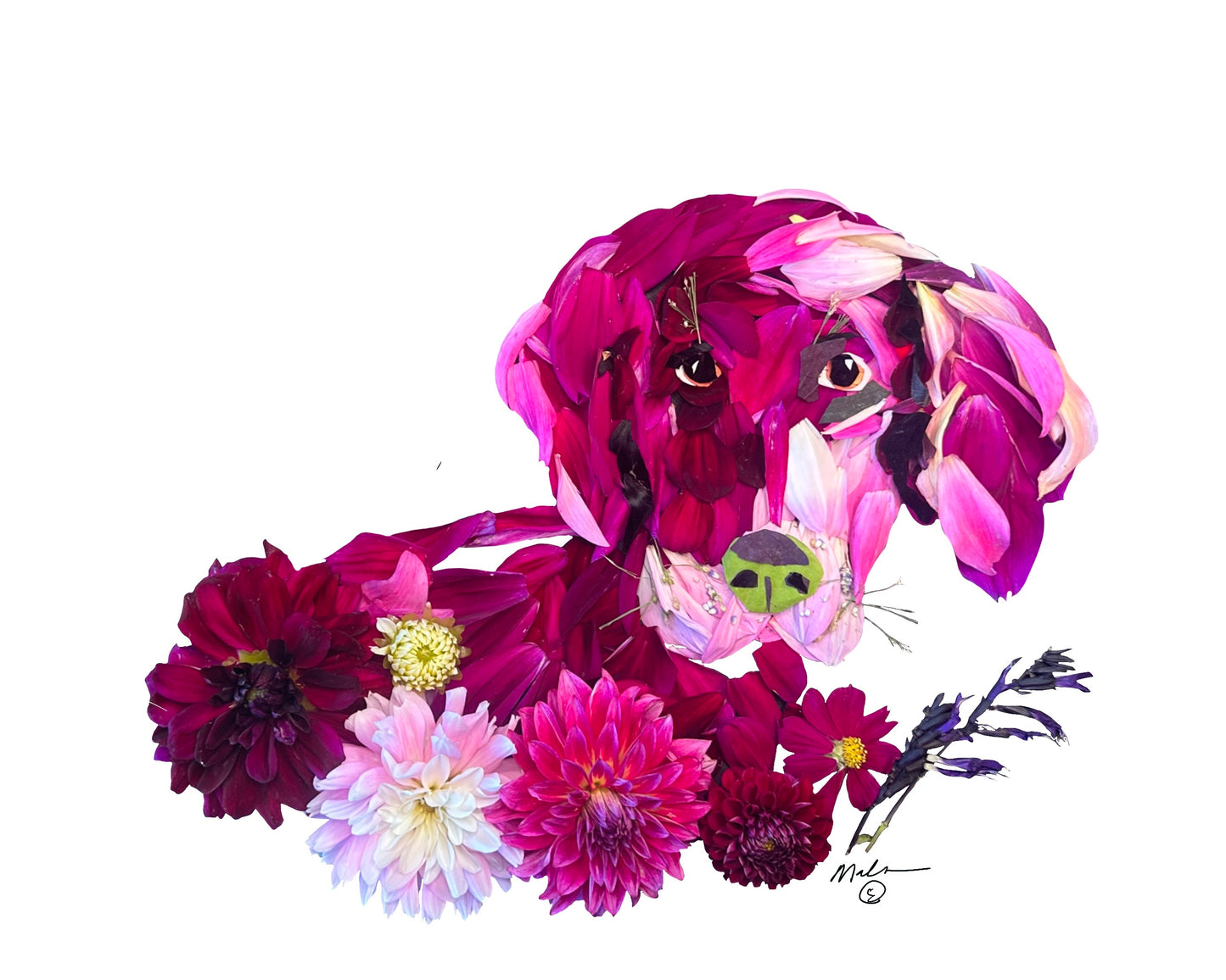 Pink Lab