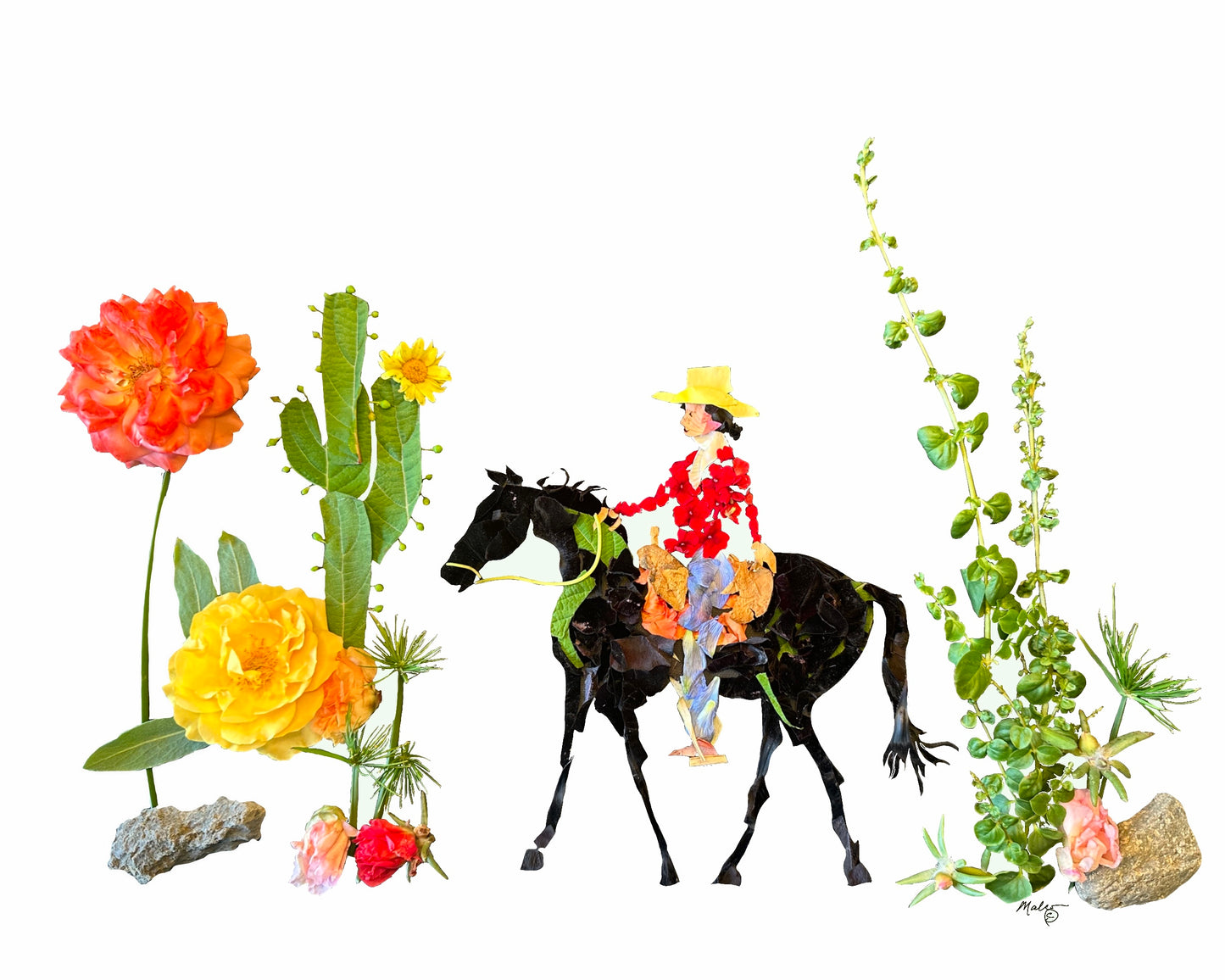Desert Rider