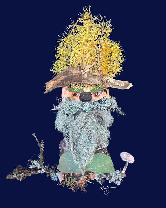 Tamarack Mack the Gnome