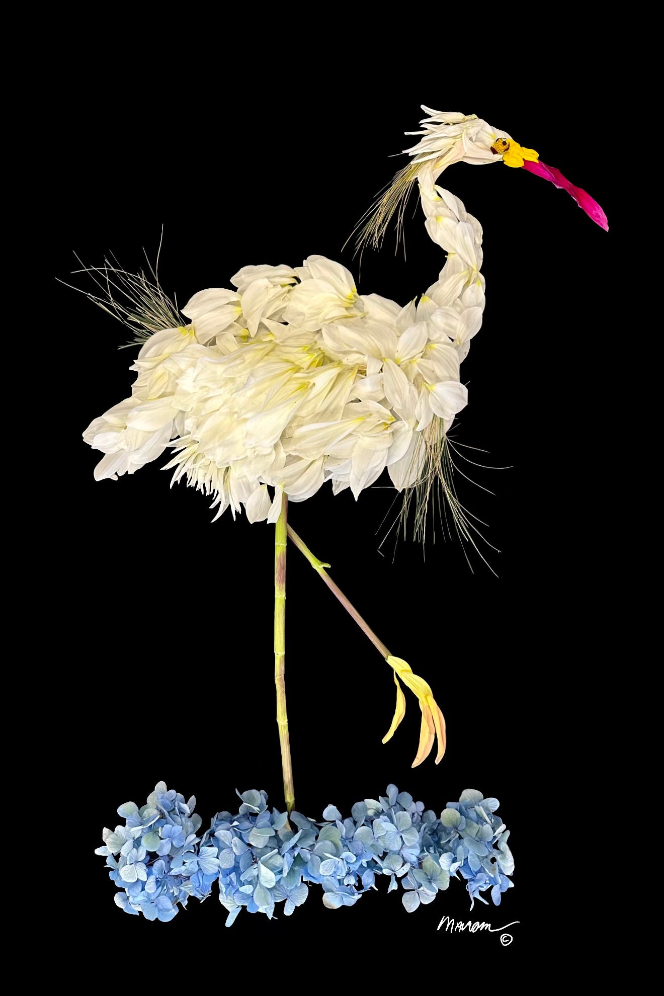 Snowy Egret