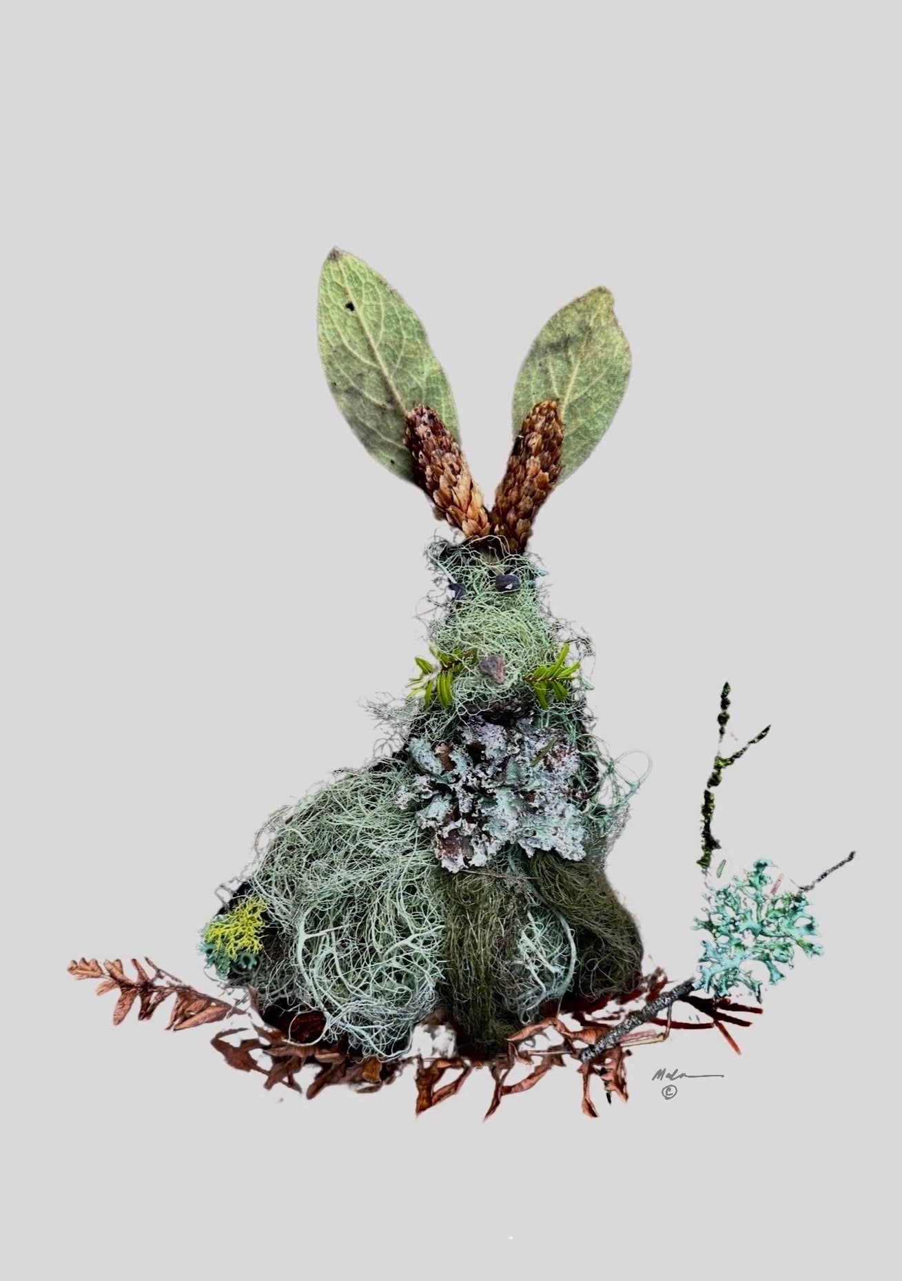 Mossy Bunny