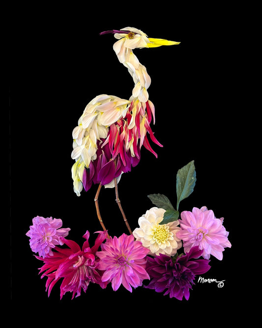 Heron