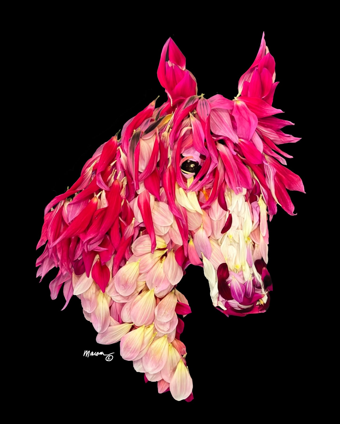 Pink Horse
