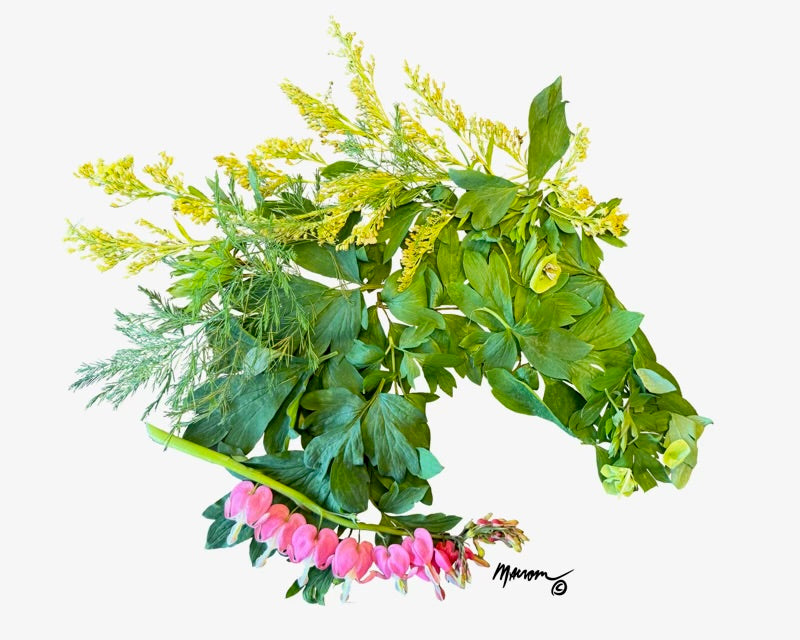 Bleeding Heart Horse