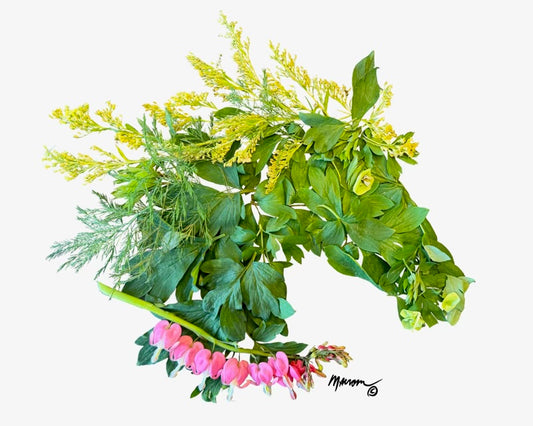 Bleeding Heart Horse