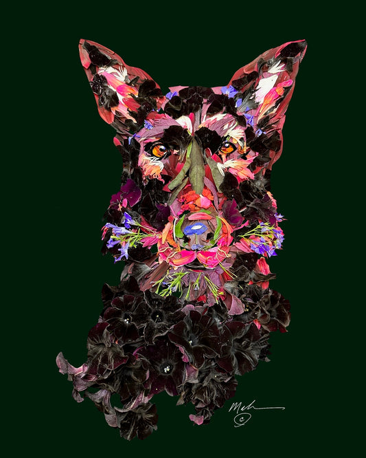 “Luna”